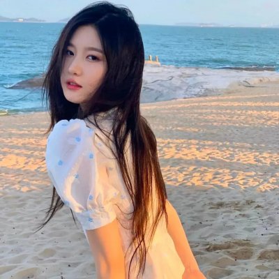 芭比与姐妹之赛马记 封面